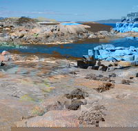 Nanarup Beach - Gold Coast Attractions