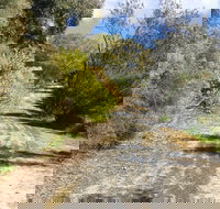 Naracoorte North Nature Park - Gold Coast Attractions