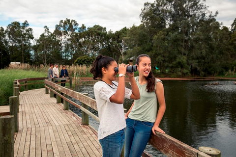 Newcastles Outdoor Adventures - Gold Coast Attractions 2