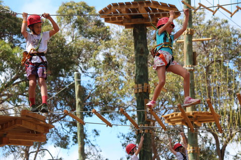 Next Level Monkey Business - Gold Coast Attractions 0