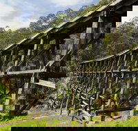 Noojee Trestle Bridge - Gold Coast Attractions