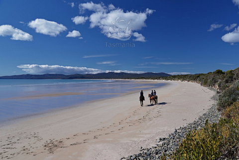 North West - Gold Coast Attractions 0