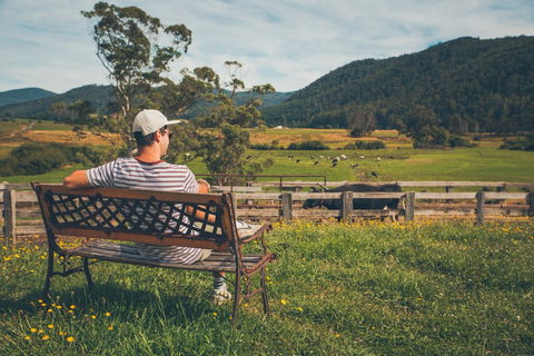 North - North East - Gold Coast Attractions 0