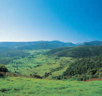 Numinbah Section Springbrook National Park - Gold Coast Attractions