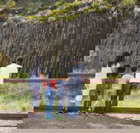 Organ Pipes National Park