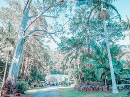 Book Tinbeerwah QLD Attractions Gold Coast Attractions Gold Coast Attractions