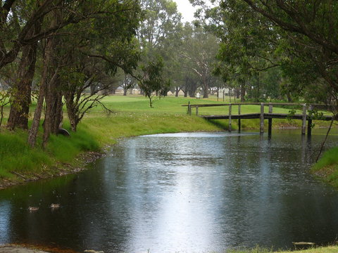 Pinjarra Golf Club - Gold Coast Attractions 2