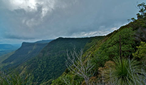 Pinnacle Walk And Lookout - Gold Coast Attractions 0