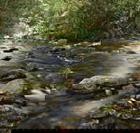 Plateau Circuit Loop Trail - Gold Coast Attractions