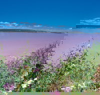 Port Gregory - Gold Coast Attractions