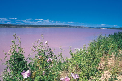 Port Gregory - Gold Coast Attractions 0