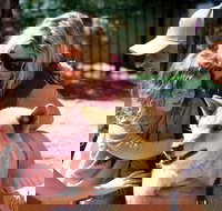 Potoroo Palace Native Animal Sanctuary - Gold Coast Attractions