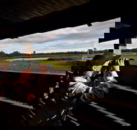 Reed Beds Bird Hide Boardwalk - Gold Coast Attractions