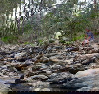 Rocksberg Park Heritage Reserve - Gold Coast Attractions