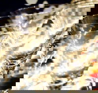 Rushworth - Gold Coast Attractions