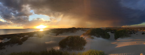 Shelly Beach Dune Walk Trail - Gold Coast Attractions 2