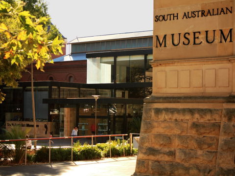 South Australian Museum - Gold Coast Attractions 0