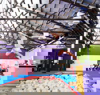 Springloaded Trampoline - Gold Coast Attractions