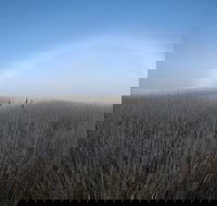 Sutton - Gold Coast Attractions