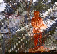 Sykes Sanctuary - Gold Coast Attractions