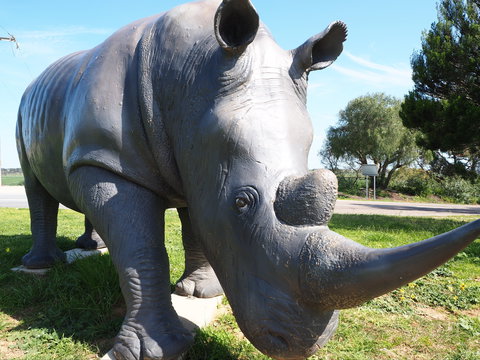 Tailem Bend Rhino Park And Dickson Reserve - Gold Coast Attractions 0