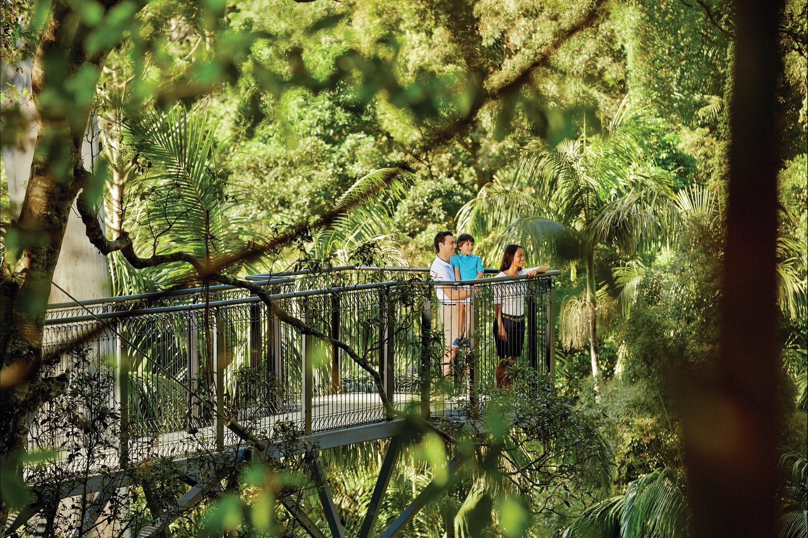 North Tamborine QLD Gold Coast Attractions