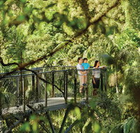 Tamborine Mountain - Gold Coast Attractions
