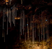 Tamborine Mountain Glow Worm Tours - Gold Coast Attractions