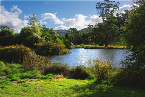 Tasmanian Arboretum Inc. - The - Gold Coast Attractions 0