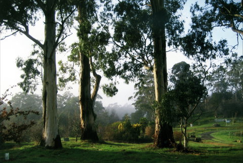 Tasmanian Arboretum Inc. - The - Gold Coast Attractions 1
