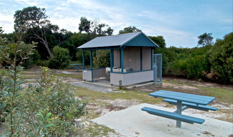 Tea Tree Picnic Area And Lookout - Gold Coast Attractions 0