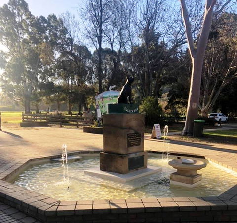 The Dog On The Tucker Box - Gold Coast Attractions 1