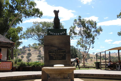 The Dog On The Tucker Box - Gold Coast Attractions 2