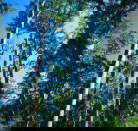 The Four Aces - Gold Coast Attractions