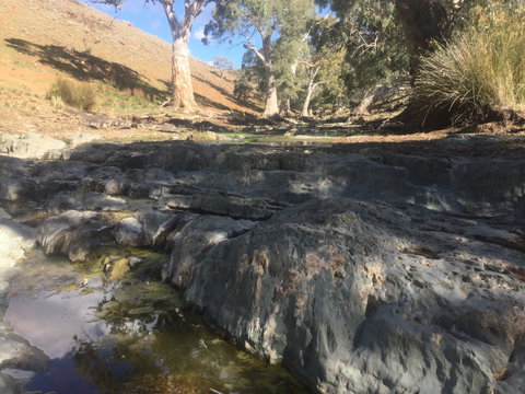 Three Creeks Station -Arkaroona Creek Walk - Gold Coast Attractions 0