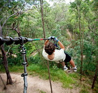 TreeTop Challenge - Gold Coast Attractions