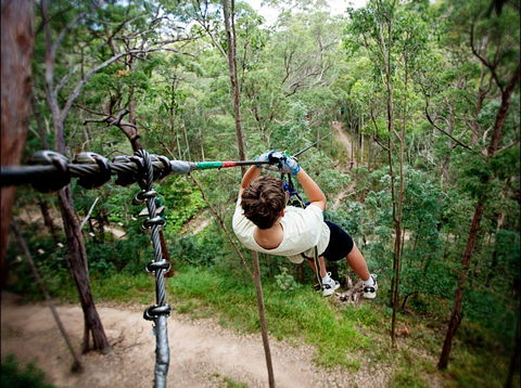 TreeTop Challenge - Gold Coast Attractions 0