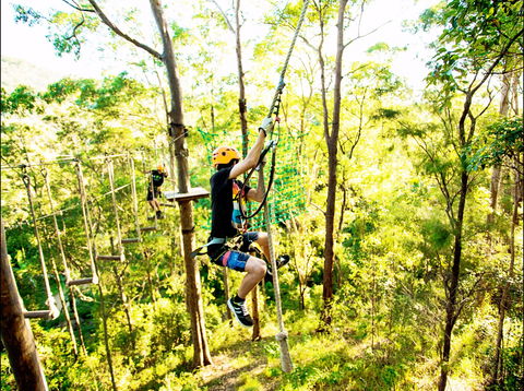 TreeTop Challenge - Gold Coast Attractions 1