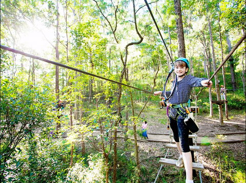 TreeTop Challenge - Gold Coast Attractions 2