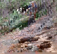 Turner Hill Mountain Bike Trail Murray - Gold Coast Attractions