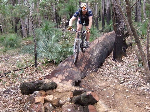 Turner Hill Mountain Bike Trail, Murray - Gold Coast Attractions 0