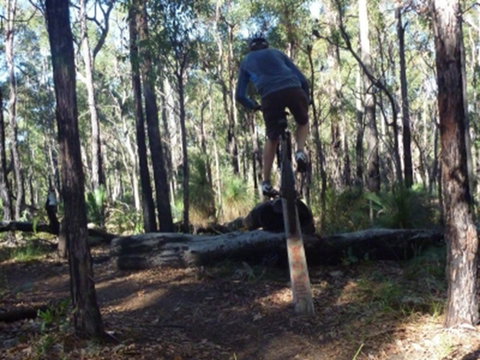 Turner Hill Mountain Bike Trail, Murray - Gold Coast Attractions 1