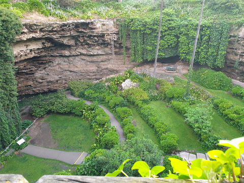 Umpherston Possum Tours - Gold Coast Attractions 2