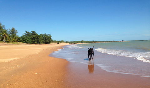 Wagait Beach - Gold Coast Attractions 2