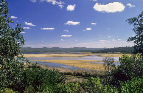 Wallagoot Lake Picnic Area And Boat Ramp - Gold Coast Attractions 0