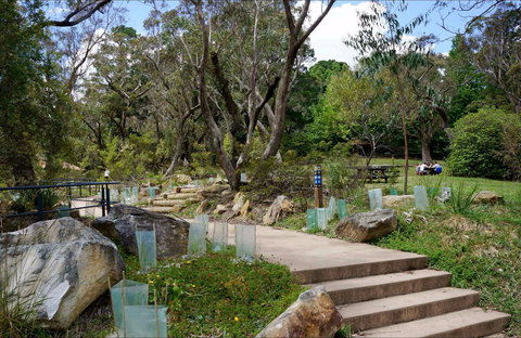 Wentworth Falls Picnic Area - Gold Coast Attractions 0