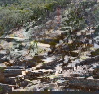 Adelong Falls Gold Mill Ruins - Gold Coast Attractions