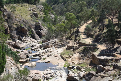 Adelong Falls Gold Mill Ruins - Gold Coast Attractions 1
