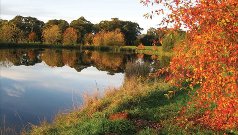 Alpine - Gold Coast Attractions 0