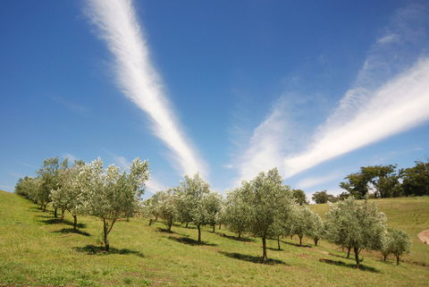 Alpine - Gold Coast Attractions 2